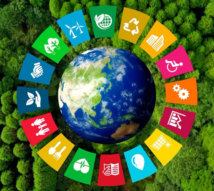 Impact environnemental